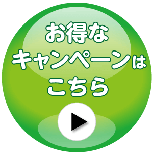 お得なキャンペーンはこちら